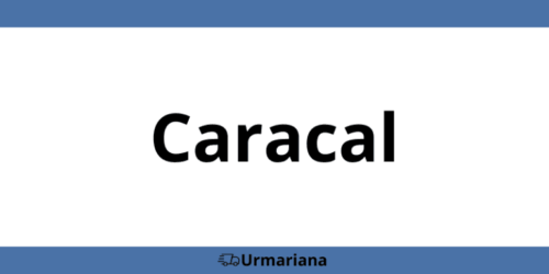 Sediu telefon contact GLS Caracal